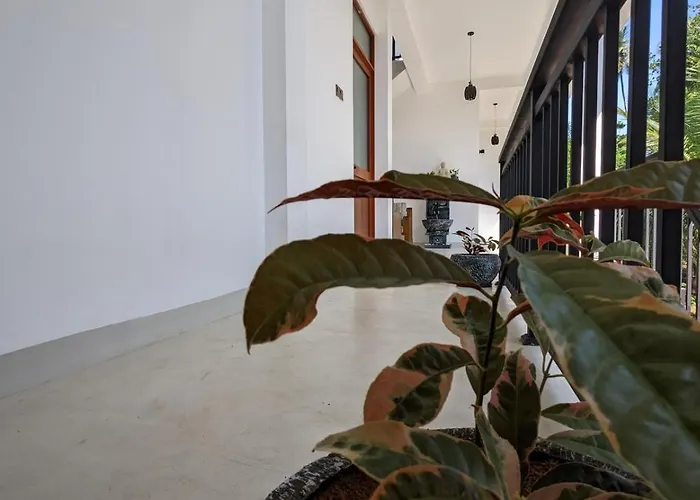 Thara Surf Inn Hiriketiya